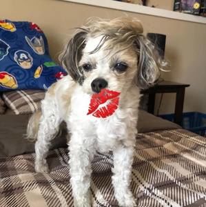 Meet your Posher, Barb